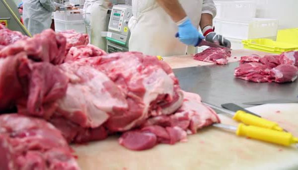 Ставропольский край: запустили крупный мясоперерабатывающий комбинат