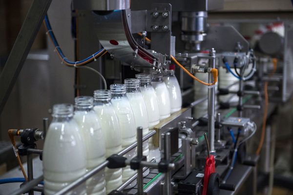 Калужское предприятие поделилось опытом органического молочного животноводства