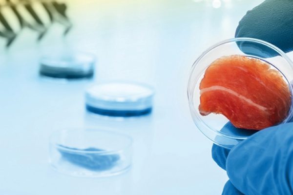 Татарстан: в КФУ будут обучать технологиям культивирования мяса