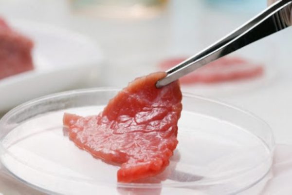 Рынок тестирования продуктов питания вырастет до $24,4 млрд к 2026 году
