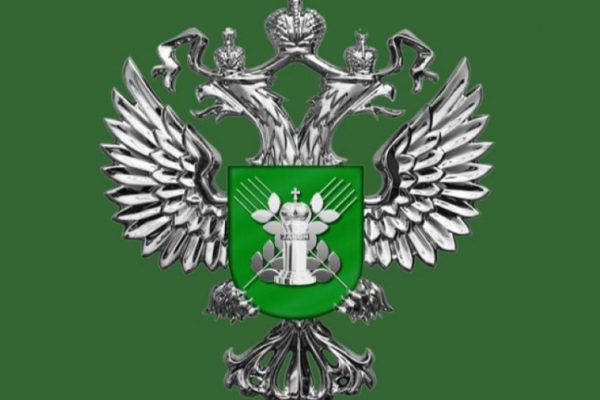 В Кировской области компания «Лытка-Торг» оштрафована на ₽20 тысяч